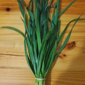 Organic Spring Onions (white) from the Garden Route